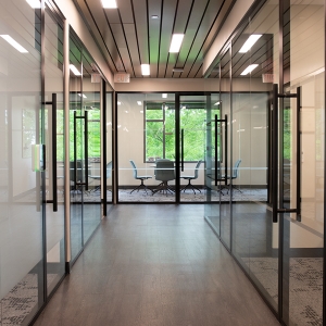 Private Office: Single Glazed Walls with Framed Pivot Doors